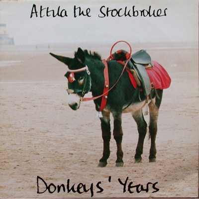 Donkeys' Years