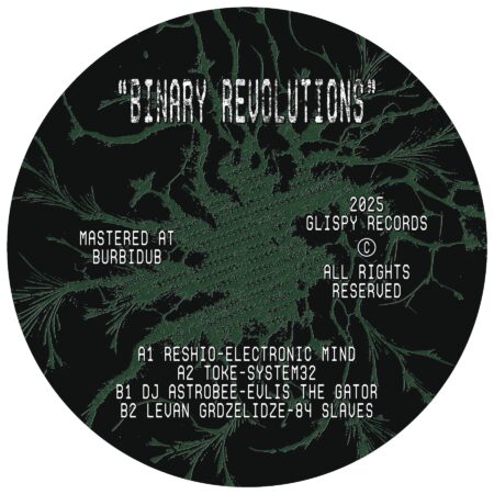 Various – Binary Revolutions