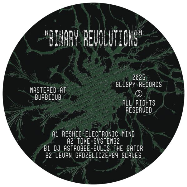 Various – Binary Revolutions